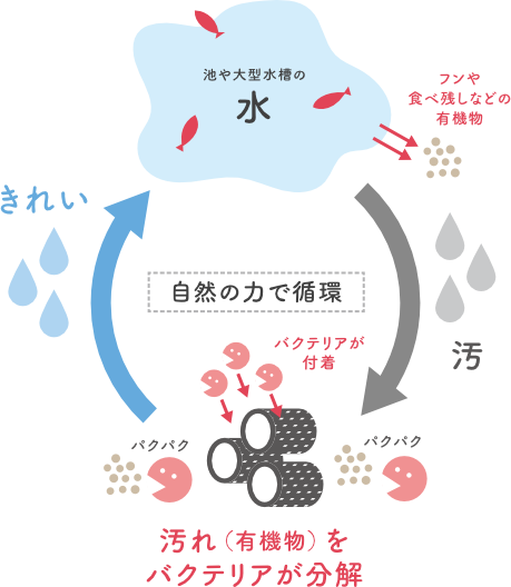 バイオメッシュ図解